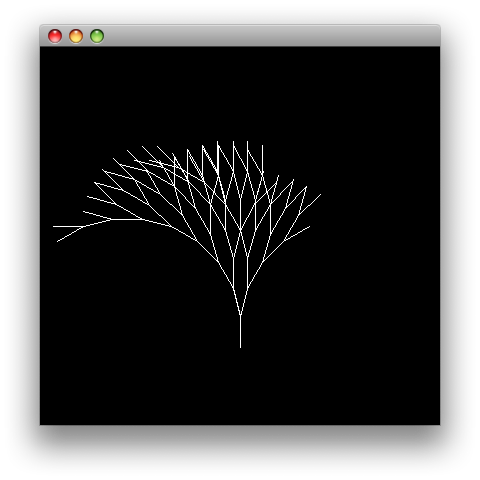 fern